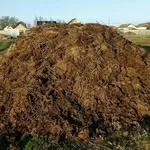 Навоз продам хорошего качества