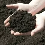 Продам чернозем дешево с доставкой
