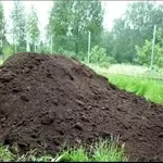 Продам почвогрунт дешево с доставкой