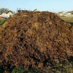 Продам навоз дешево с доставкой