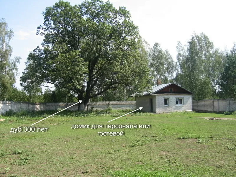 Усадьба / дом / коттедж с баней и выходом на берег реки Березина 11