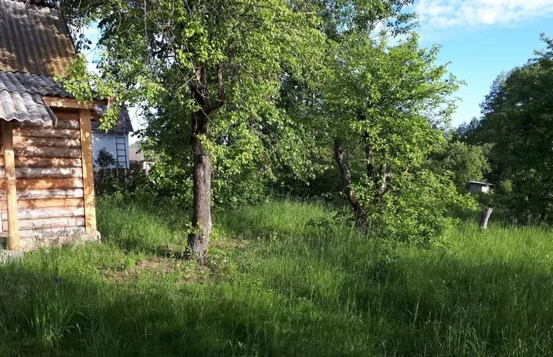 Продам дом у ручья Могилевская область 6
