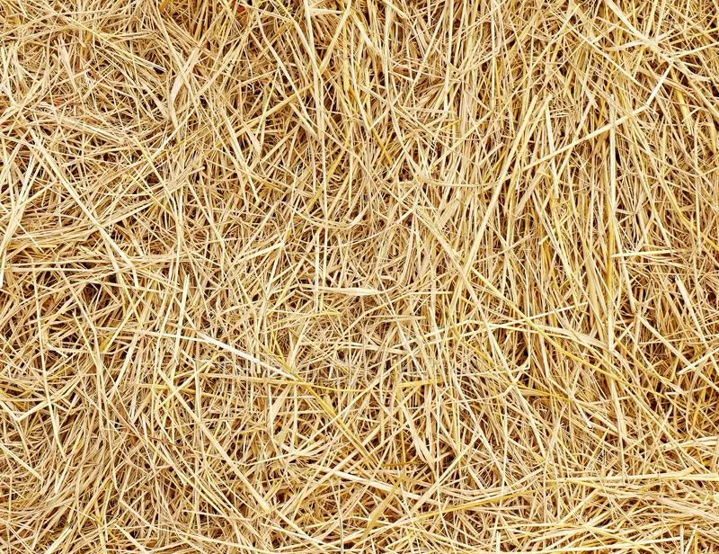 Корма для животных: пшеница овёс ячмень кукуруза сено солома 5